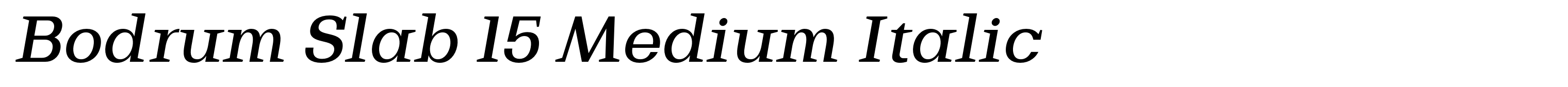 Bodrum Slab 15 Medium Italic